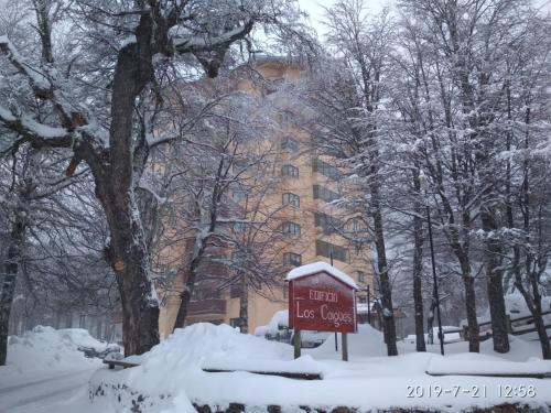 . Bosque Nevado