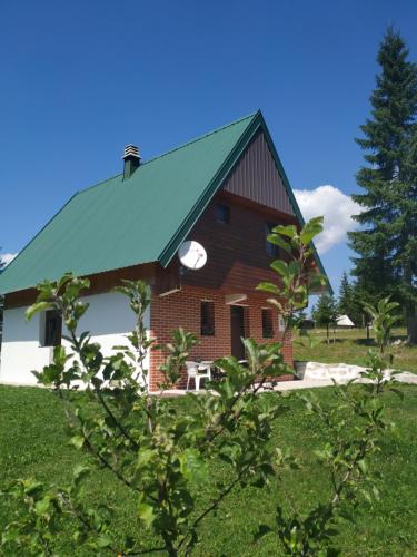 House in forest - image 13