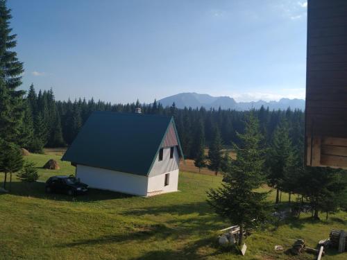 House in forest - image 12