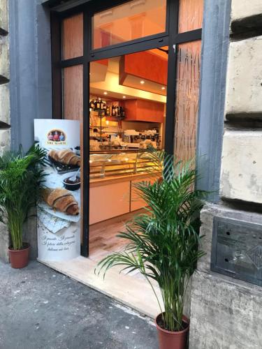 Vanella Rome Domus, Řím (fotografie 7)