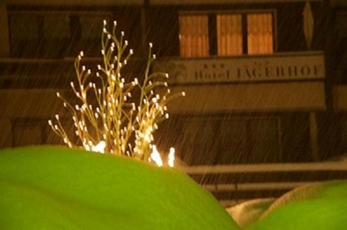 Hotel Garni Jägerhof – Saas-Fee, MS