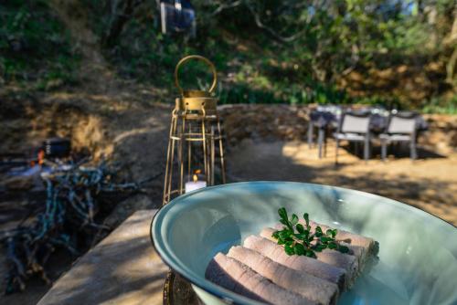 Food and beverages, Stargazer Safari Camp - Bellevue Forest Reserve in Eastern Cape