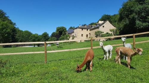 La Ferme des Andes - Chambre d'hôtes - Quins