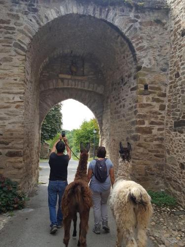 La Ferme des Andes