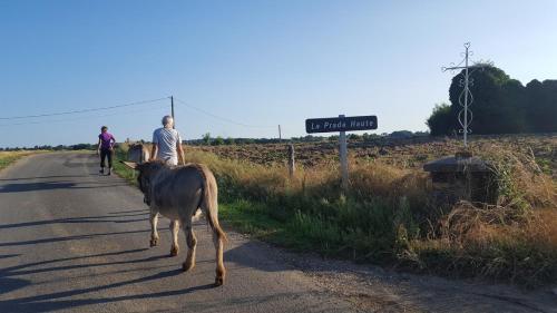 La Ferme des Andes