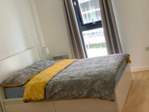 luxury apartment
