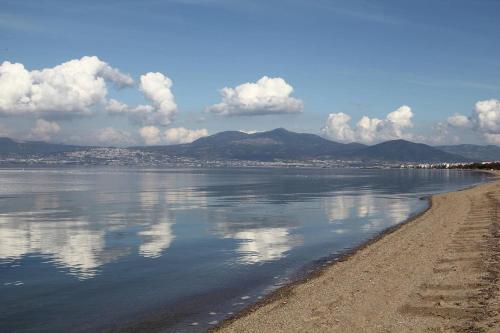  QUIET,CLEAN,COMFORTABLE, Ferienwohnung in Néa Michanióna