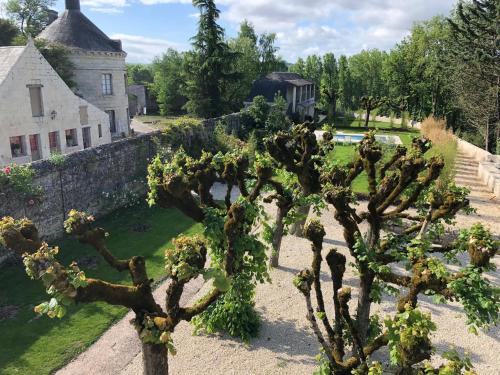 Cottage Parc Duplex of 70 m² for 2 people – 1 bedroom – 2 bathrooms – - image 2