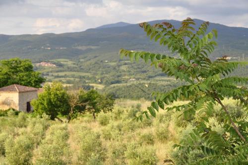 Rustic Tuscan Apartment - image 4