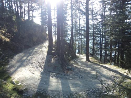 Photo of Deodara HomeStay Apartment