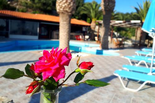  Apartments Souda Bay in Plakias