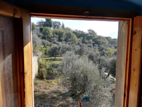 Agriturismo CasaMatta Azienda Agricola 5