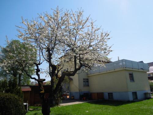 Ferienwohnung Nissle