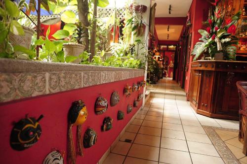 21473315 Hotel Boutique Casona Maya Mexicana