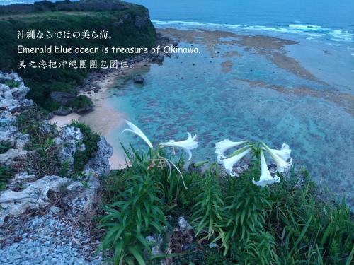 오키나와 본섬 Guesthome Machiya Koza カーシェア可能 長期滞在割引あり 3성급 호텔 레스토랑