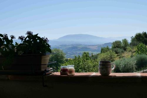 Casale Mille e una Notte - image 2