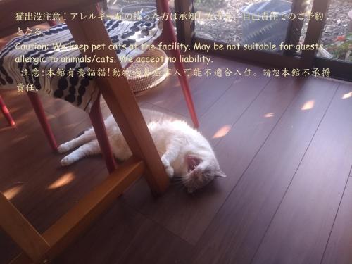 Guesthome Machiya Koza