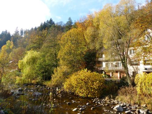 Intrare, Adieu Alltag: Pension Oesterle im Schwarzwald in Baiersbronn