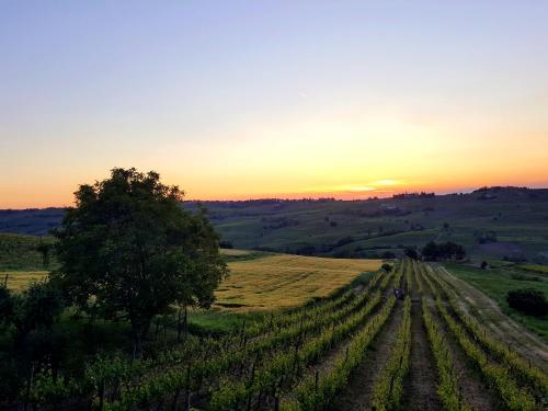 La Terrazza sui Vigneti-Rovescala