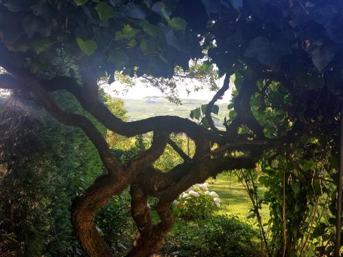 La Terrazza sui Vigneti-Rovescala