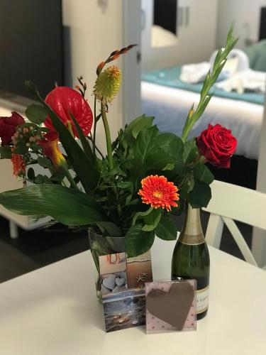 4 Seasons Zandvoort in Zandvoort