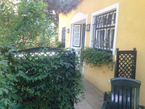 Exquisites Gartenapartment in eleganter Jugendstilvilla - main image