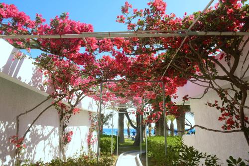 Blue Horizon - main image