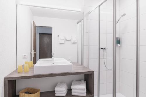 Hotel Schmid & Alfa - image 7
