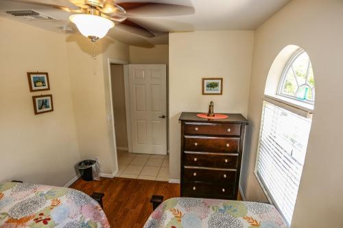 295 Mango - image 3