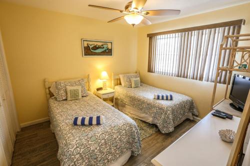 100 Mid Island - MidIsland Dream - image 12