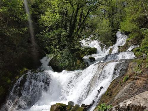 Сибиряк Sibiryak, Tskhaltubo (foto 3)