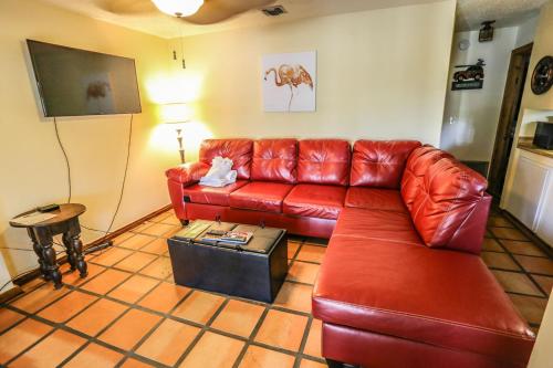 254 Ostego Drive Lower - image 5