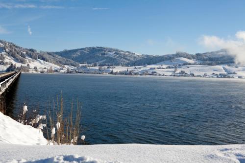B&B Ferienhof am See - image 9