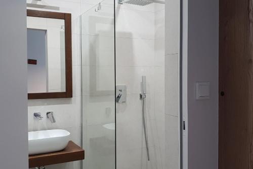 BOUTIQUE 108 - old city, luxury apt. with a garage, Cracovie (photo 8)