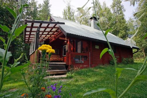 One-Bedroom House