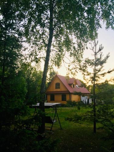 Agroturystyka w zielonym spichlerzu, Puszcza Białowieska