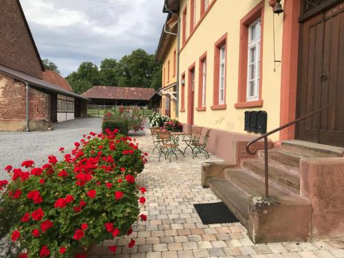 Elegantes Gästeapartment Verano in Schloß und Hofgut Langenzell