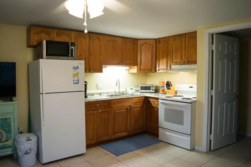 138 Delmar - image 5