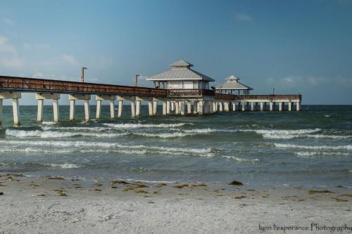138 Delmar - image 7
