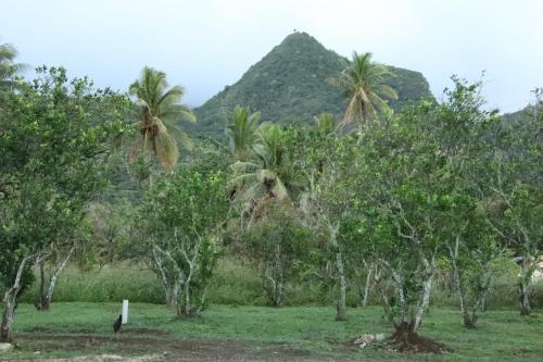 Matavera Mountain Vista