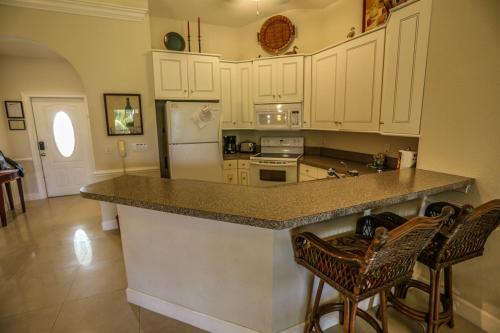 21169 Noddy Tern Drive - image 4