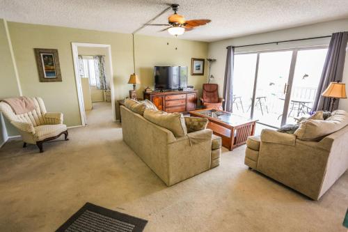 Sand Caper 509 - image 6