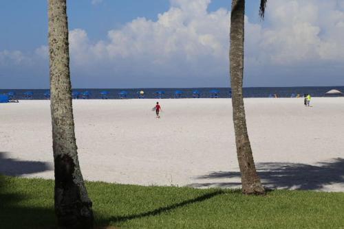 Island Winds 102 - image 5