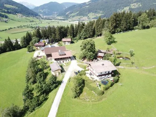 Steinerbauer in Flachau, Österreich