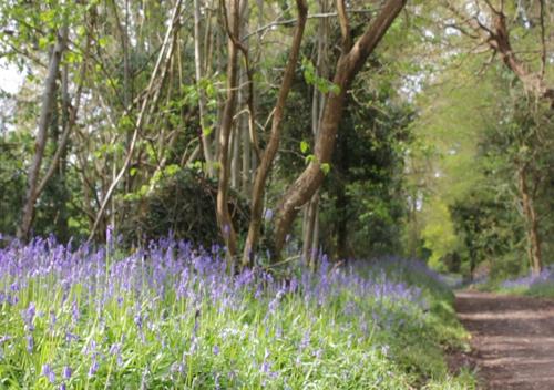 Bury Villa - 7 bedrooms sleeping 19 guests - image 4