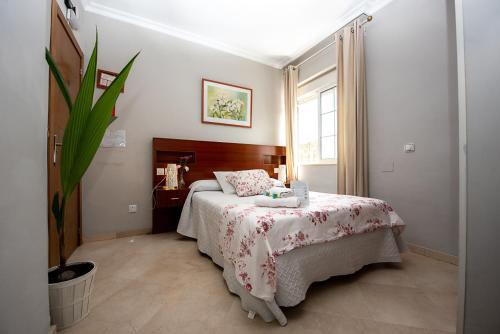 Hostal La Muralla - main image
