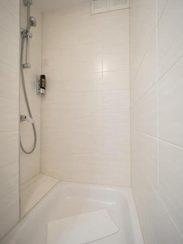 Hotel Boritzka - image 2