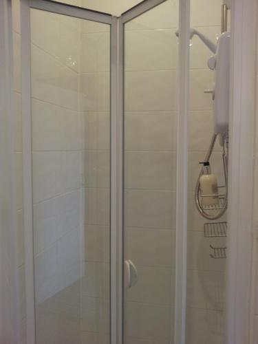 The Ambassador Townhouse - image 8