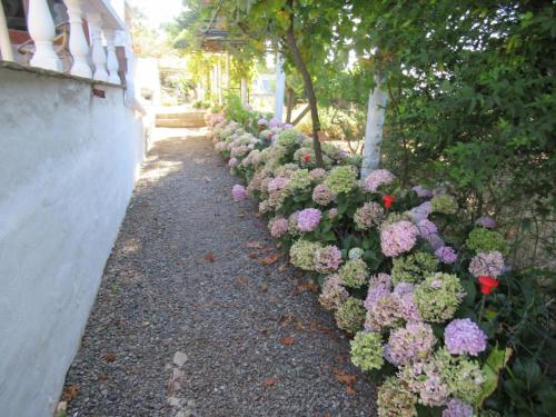 Casa el Refugio de Arucas - main image