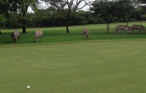 Francolin Cottage at Great Rift Valley Lodge & Golf Resort Naivasha